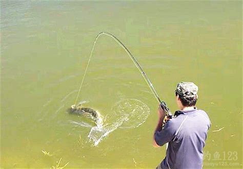夏季用海竿钓大鱼的4个要领，野钓大鱼也能连竿 - 知乎