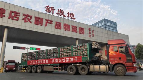 河北新发地首批保供蔬菜150吨今日抵京_手机新浪网