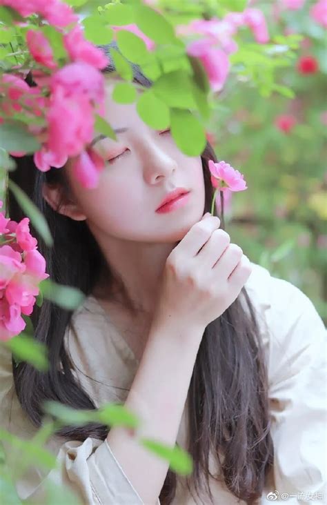 蔷薇花丛中的美女，花美人更美。