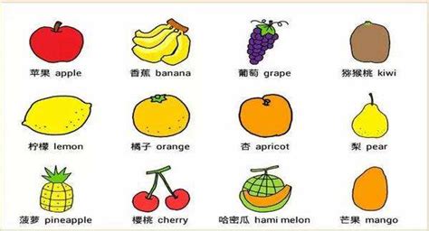 水果名字 - 花百科