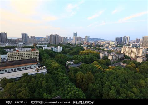 武汉工程大学的秋天高清图片下载_红动中国