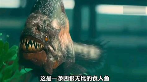 《食人鱼3D》_腾讯视频