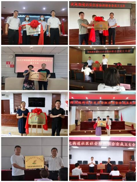 第八届山东社会组织发展论坛在菏泽举办_中国社会组织促进会