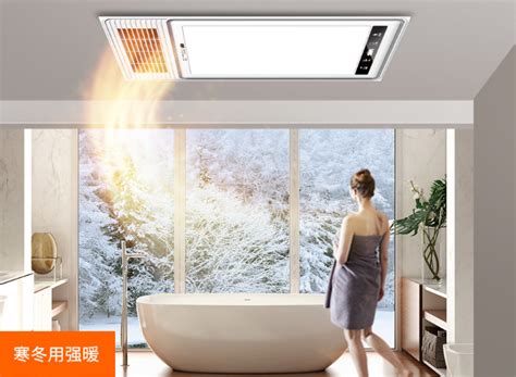 雷士照明集成吊顶风暖浴霸家用取暖器带照明排风扇一体卫生间浴室-阿里巴巴