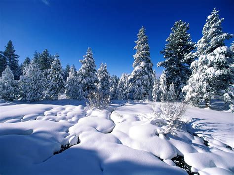 冬天数九是从什么时候开始 冬季的九天从何算起_万年历