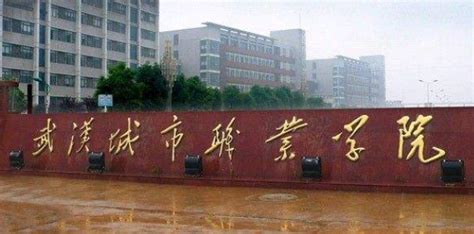 武汉城市职业学院 - 我们做过什么 - 武汉知鸟行文化科技有限公司