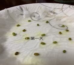 绿豆发芽实验步骤图片记录（生豆芽的方法：方法详细讲解，看完你也会，0失败的教程） | 说明书网