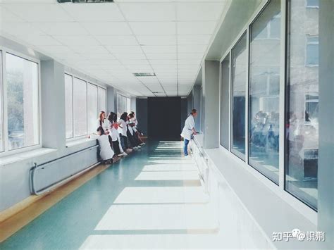 专业篇丨护理学：如何进入三甲医院【修订版】 - 知乎