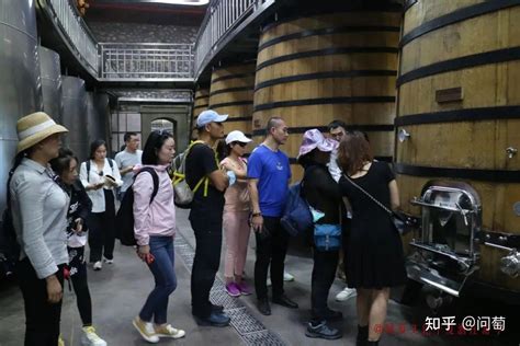 西夏区“葡萄酒+”跨界融合走出高质量发展新路子-宁夏新闻网