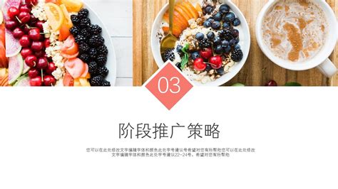 食品新产品推广方案3篇Word模板下载_编号qegpavpz_熊猫办公