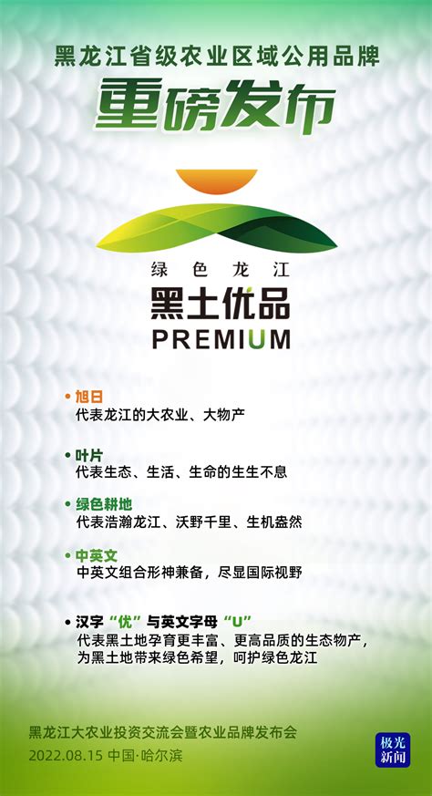 黑龙江发布地方林业自然保护品牌形象LOGO-logo11设计网