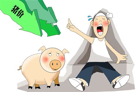 猪肉价大跌，却预示着畜牧板块的大机会 今天2022年12月12日，生猪期货继续大跌，从原本的20000元/吨整数关口，跌破18000。猪价跌，养殖企业股价跌的... - 雪球
