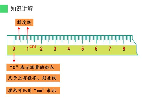 三厘米图片