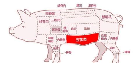 美国肉类出口协会上海代表处