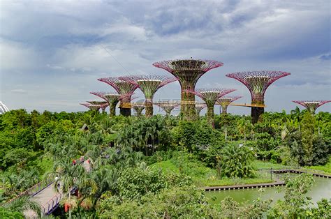 打卡新加坡滨海湾花园,许自己一个花花世界!