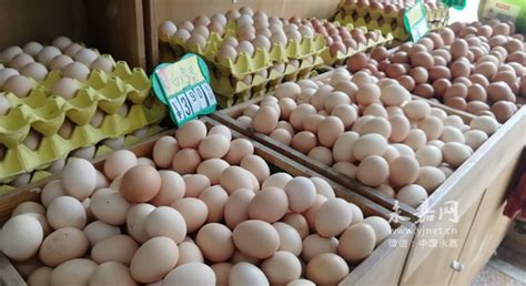 上半年蛋类价格迎近两年新低，鸡蛋超市售价一颗不到0.5元 - 永嘉网