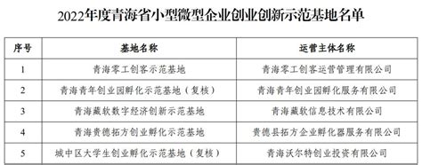 青海省工业和信息化厅关于公布2022年度青海省小型微型企业创业创新示范基地名单的通告