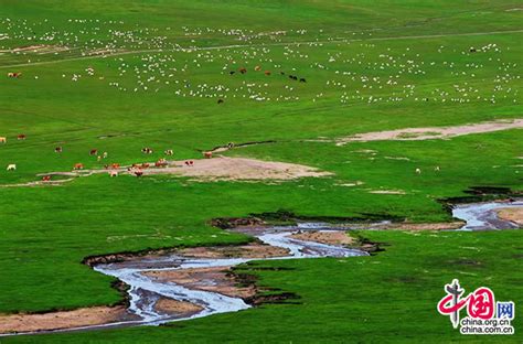 内蒙古草原叶面积指数时空格局与水热影响