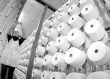 击退日本东丽，又一中国纺织业的“隐形冠军”诞生，年收入1824亿|根栏目|中纤纤维网