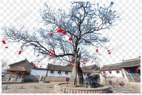 地主庄园图图片