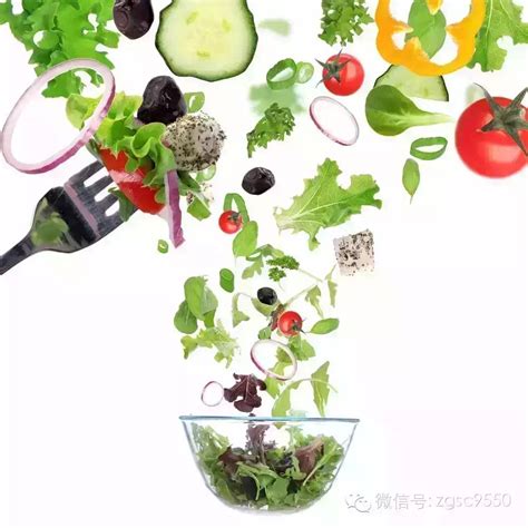 1月4日北京新发地批发市场蔬菜价格行情 - 中国蔬菜 - 新农资360网|土壤改良|果树种植|蔬菜种植|种植示范田|品牌展播|农资微专栏