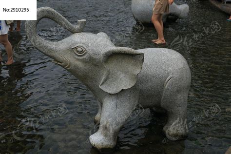 象鼻山戏水区的石刻小象高清图片下载_红动中国