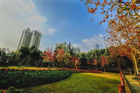 【上海--秋天摄影图片】上海风光摄影_非常明_太平洋电脑网摄影部落