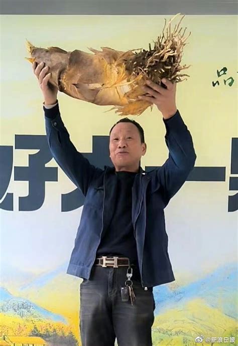 宁波9.8公斤笋王出山