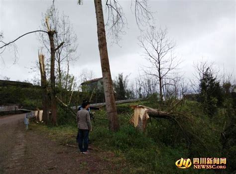 四川武胜县遭遇13级大风 已造成7人死亡(图)|武胜县|死亡_凤凰资讯