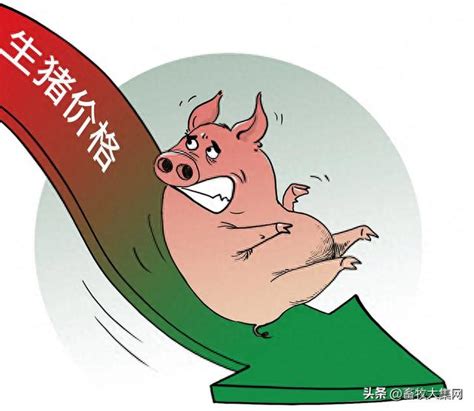 28日猪价一跌到底，广东猪价意外暴跌，两天跌一块，发生了啥？__财经头条