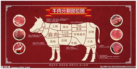 牛肉分布图图片