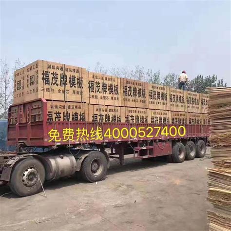 中挡建筑模板-沭阳县桑墟华盛木业板厂
