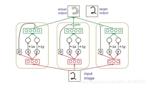 AI不再黑箱：利用可解释的胶囊网络算法识别细胞亚型 | 集智俱乐部