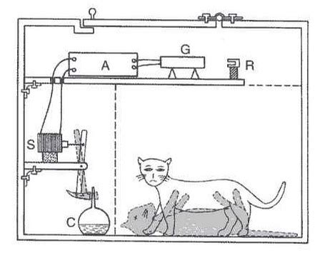 薛定谔之猫(量子力学实验)_360百科