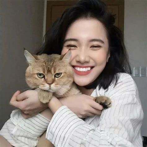 温柔干净猫咪头像女生