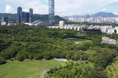 2024莲花山公园游玩攻略,山顶广场可以俯览整个市中心...【去哪儿攻略】