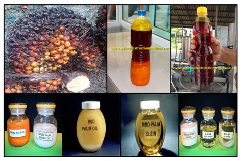 棕榈油精炼的目的和方法_,棕榈油加工常见问题