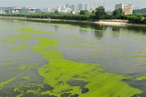 松花江流域城市用地扩张的生态环境效应