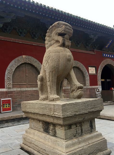 中国古代没有狮子，为何却诞生了石狮文化？