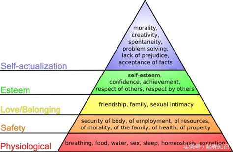 人类需求金字塔原理（马斯洛的5个层次需求理论） - 知乎