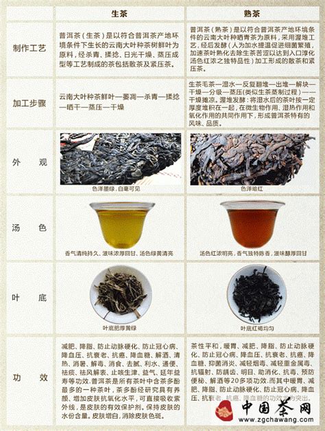 普洱茶生熟茶功效对比 | 茶奥网