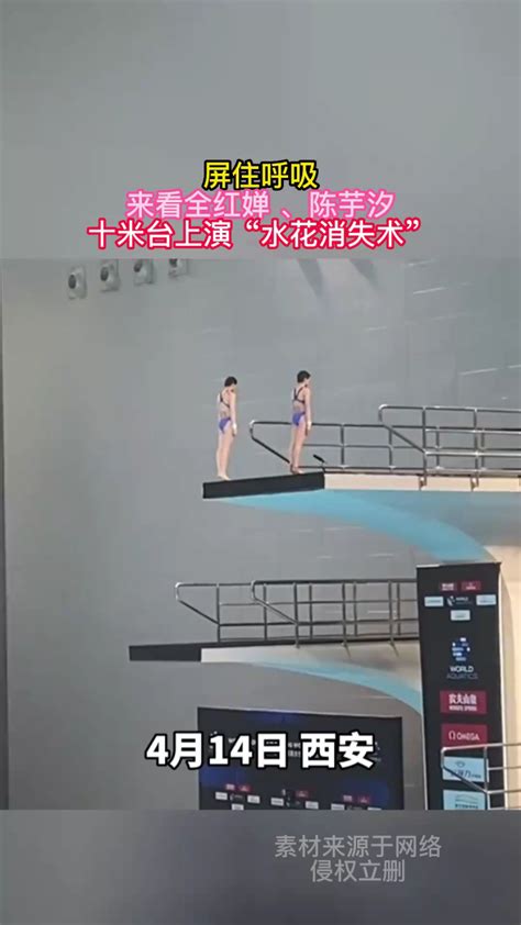 来看全红婵、陈芋汐十米台上演“水花消失术”_腾讯视频