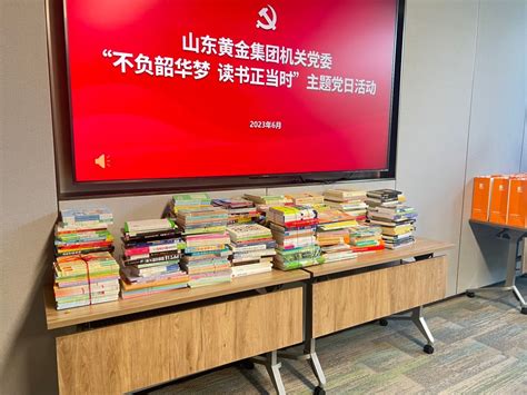 “石头计划”捐书行动，为留守儿童点亮阅读的灯 - 北京宸星教育基金会
