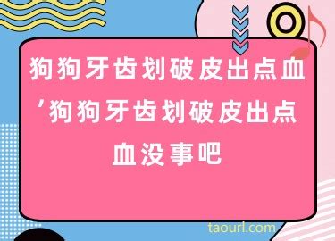 狗狗牙齿划破皮出点血，狗狗牙齿划破皮出点血没事吧-酷派宠物网