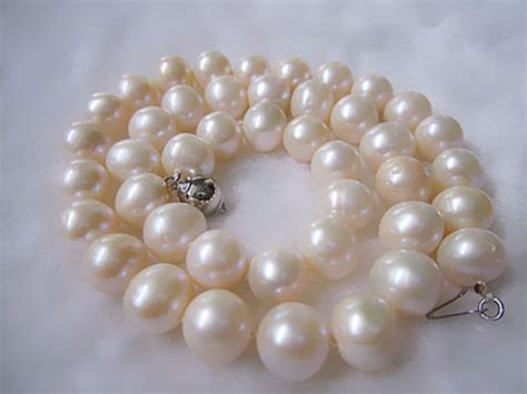 今年珍珠收购价普涨40%：坚守5年迎来丰收|我收我藏|天津美术网