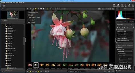 【免费图像编辑软件】|PhotoFiltre Studio X(图像编辑软件) v10.10.1 汉化绿色版 - 万方软件下载站