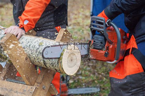 专业的伐木工人在锯木头照片摄影图片_ID:312790868-Veer图库