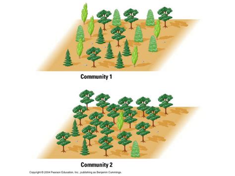 生物学专业英语：05.Communities and Ecosystems