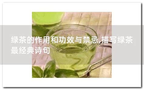 女主绿茶白莲花,绿茶从采摘到能喝需要几天 - 茶叶百科