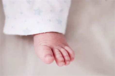 2023年1月23日出生的婴儿取名字大全免费查询-周易起名-国学梦